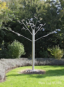 Vlinderboom