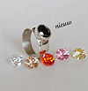 van_der_Schaaff_Ring1_small
