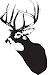 Rooshert_Uitvaartbegeleiding_logo