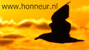 honneur_logo