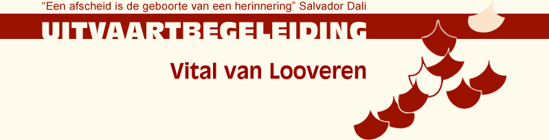 logo Looveren