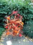 Experimenteel rouwbloemenwerk leerlingen AOC Friesland ( � UID) 16 (79kb)