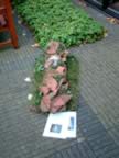 Experimenteel rouwbloemenwerk leerlingen AOC Friesland ( � UID) 17 (53kb)