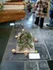 Experimenteel rouwbloemenwerk leerlingen AOC Friesland ( � UID) 5 (51kb)